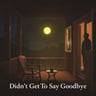 Didn't Get To Say Goodbye