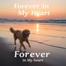 Forever In My Heart