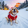 Winter Wonderland Memories