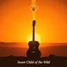 Sweet Child of the Wild