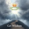 Get Wisdom