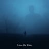 Love In Vain