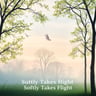 Softly Takes Flight