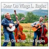 Soar On Wings Like Eagles