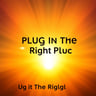 Plug In The Right Plug