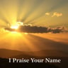 I Praise Your Name