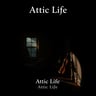 Attic Life