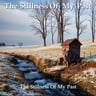 The Stillness Of My Past