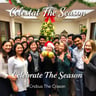 Celebrate The Season