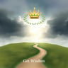 Get Wisdom