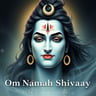 Om Namah Shivaya