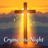 Crying in the Night