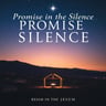 Promise in the Silence