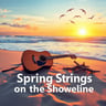 Spring Strings on the Shoreline