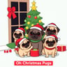 Oh Christmas Pugs