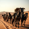مكحّله مثل الخيول الأصيلة