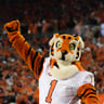 Sub in the Tiger
