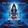 Om Namah Shivaya