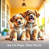Two Pups, One Porch