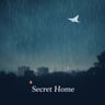 Secret Home1
