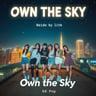 Own the Sky