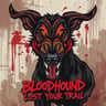 Bloodhound Lost Your Trail