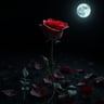 The Garden and the Rose