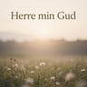 Herre Min Gud
