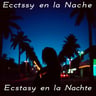 Ecstasy en la Noche
