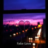 Fake Love