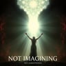 Not Imagining