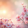 Gentle Glow