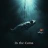 In the Coma