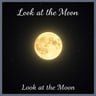 Look at the Moon