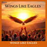 Wings Like Eagles