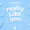 REALLY LIKE YOU