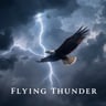 Flying Thunder
