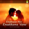 Ennavane Nee Enakkana Vane