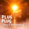 Plug In The Right Plug