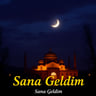 Sana Geldim