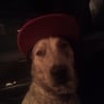 Annie