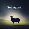 Set Apart