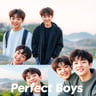 Perfect Boys 2