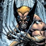 Claws Out