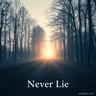 Never Lie