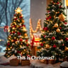 This Is Christmas