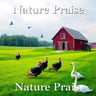Nature Praises