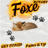 Get Foxed