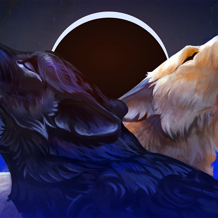 Tale of Two Wolves
