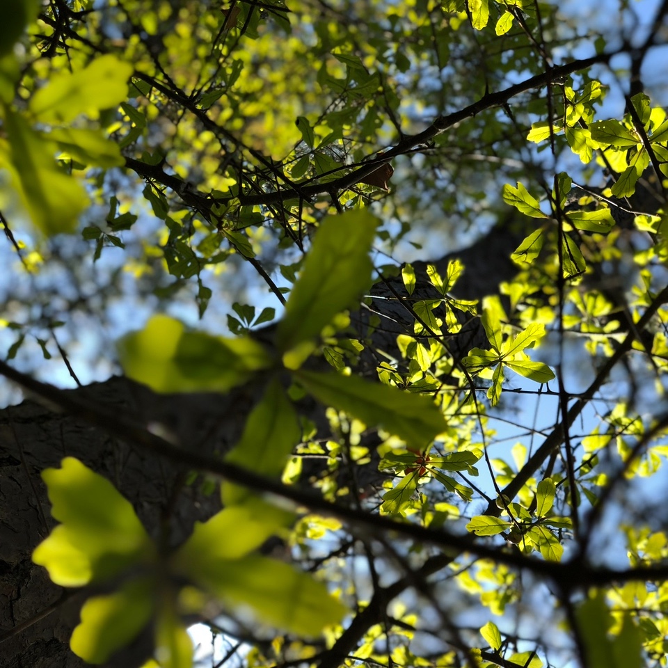 Dakila Ka lagi ❤️❤️❤️❤️❤️❤️